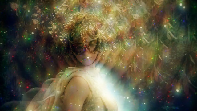 Video Reference: nature, organism, computer wallpaper, universe, space, nebula, cg artwork, psychedelic art, mythology, sky