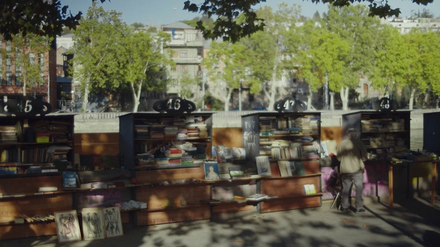 Video Reference: Urban area, Building, Tree, Architecture, Street, City, Art