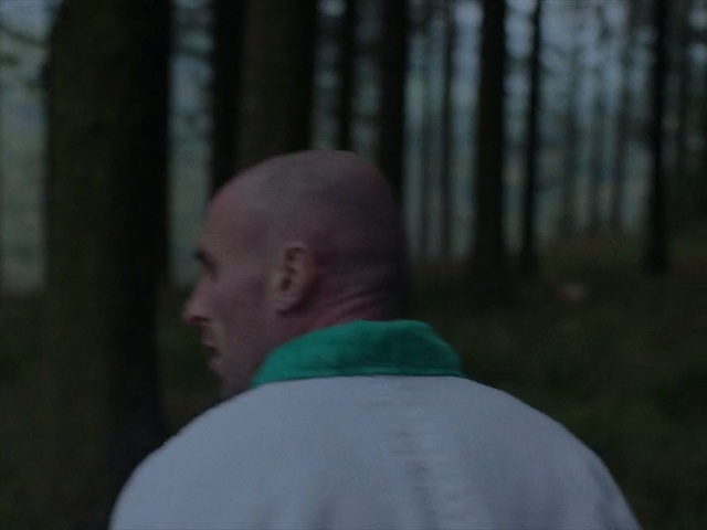 Video Reference: Natural environment, Green, Forest, Tree, Photography, Woodland, Plant, Person