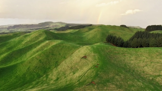 Video Reference: Grassland, Green, Nature, Hill, Highland, Mountainous landforms, Natural environment, Plain, Natural landscape, Grass
