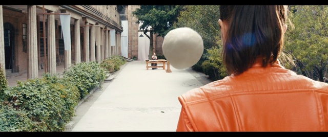 Video Reference: photograph, tree, photography, girl, vacation, sunlight, grass, leisure, tourism, fun