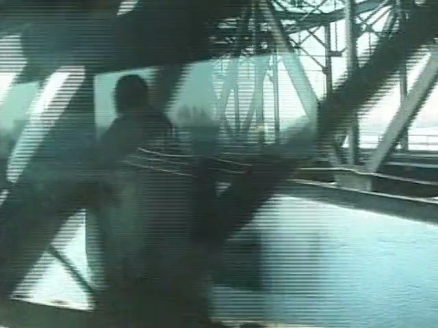 Video Reference: water, snapshot, reflection, glass, tree