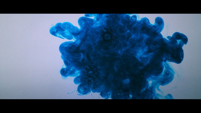 Video Reference: blue, organism, computer wallpaper, turquoise