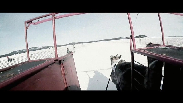 Video Reference: Boat, Vehicle, Water, Sailing, Watercraft, Sail, Boating, Person