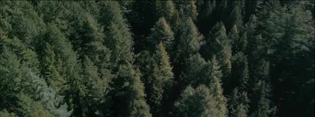 Video Reference: Vegetation, Tree, Tropical and subtropical coniferous forests, Forest, Nature, Natural environment, Biome, Temperate coniferous forest, Nature reserve, Spruce-fir forest