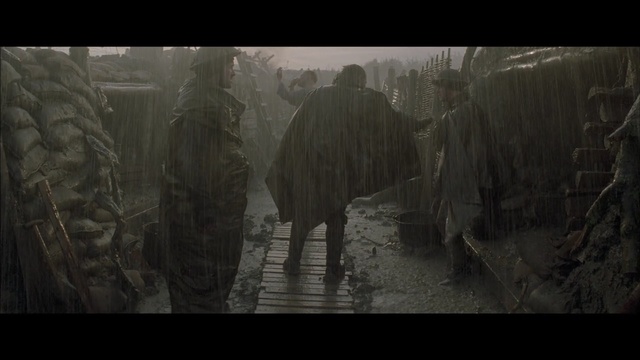 Video Reference: ecosystem, screenshot, darkness, biome, tree, formation, forest, computer wallpaper