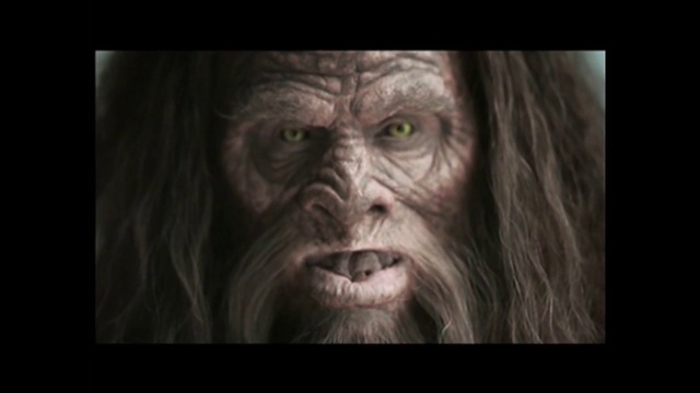 Video Reference: Face, Head, Human, Skin, Wrinkle, Forehead, Organism, Portrait, Primate, Close-up, Person