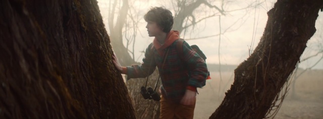 Video Reference: Atmospheric phenomenon, Tree, Adventure, Screenshot, Fictional character, Recreation, Plant