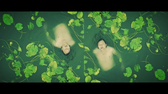Video Reference: Green, Leaf, Organism, Adaptation, Plant, World, Photography, water lily, Art, Person