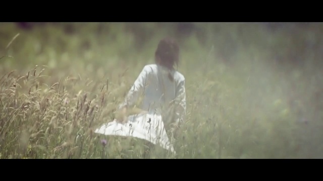 Video Reference: People in nature, Photograph, Grass, Atmospheric phenomenon, Grass family, Sunlight, Photography, Morning, Grassland, Atmosphere