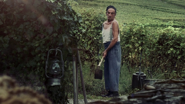 Video Reference: Green, Tree, Adaptation, Photography, Grass, Plant, Forest, Smile, Portrait