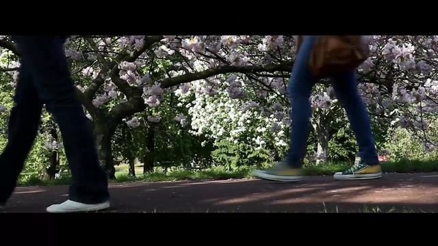 Video Reference: tree, plant, nature, photograph, woody plant, footwear, light, photography, leaf, grass