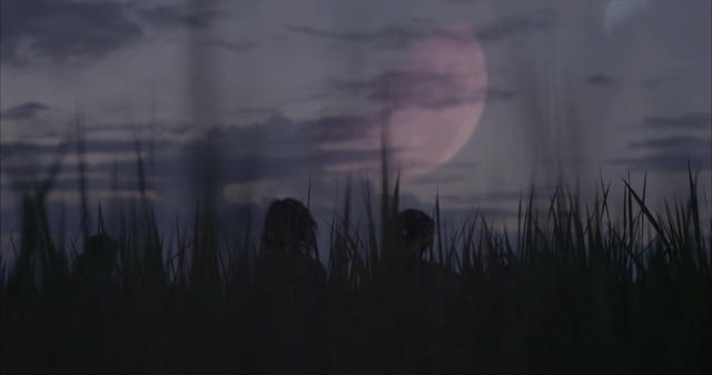 Video Reference: atmosphere, sky, darkness, geological phenomenon, morning, mist, evening, horizon, smoke, screenshot, Person