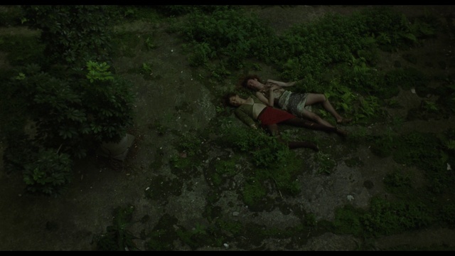 Video Reference: Nature, Green, Jungle, Natural environment, Vegetation, Wildlife, Grass, Wilderness, Forest, Tree