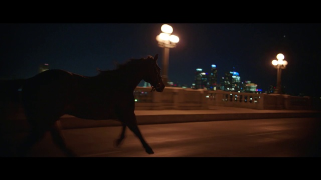 Video Reference: Horse, Black, Lighting, Light, Darkness, Night, Mane, Evening, Bridle, Street light