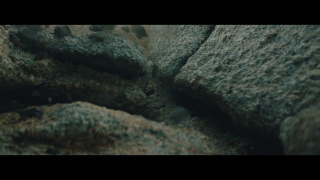 Video Reference: Nature, Green, Rock, Geology, Organism, Formation, Screenshot