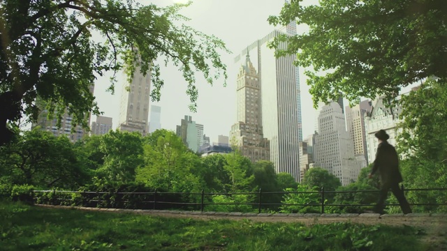 Video Reference: Plant, Skyscraper, Sky, Building, Daytime, Tower block, Tree, Natural landscape, Urban design, Condominium