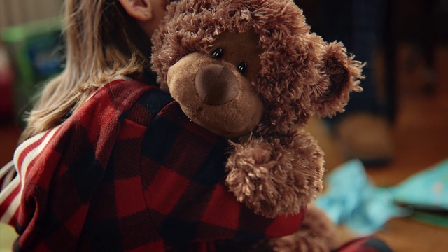 Video Reference: Teddy bear, Stuffed toy, Toy, Fun, Plush, Bear, Fur, Smile
