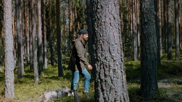 Video Reference: tree, nature, woody plant, woodland, plant, forest, wilderness, path, old growth forest, grove, Person
