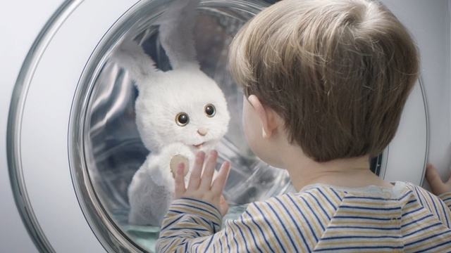 Video Reference: cat, skin, mammal, vertebrate, small to medium sized cats, nose, eye, cat like mammal, kitten, whiskers, Person