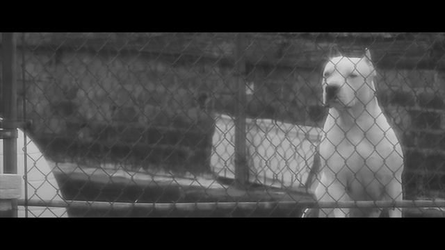 Video Reference: white, black, photograph, black and white, monochrome photography, atmosphere, darkness, photography, light, snapshot, Person