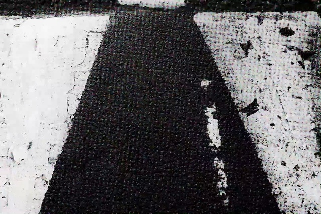 Video Reference: Black, Water, Black-and-white, Monochrome, Line, Monochrome photography, Tree, Shadow, Photography, Reflection