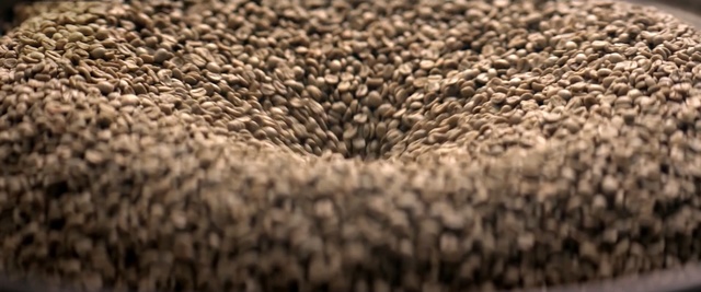 Video Reference: Close-up, Brown, Stock photography, Beige, Photography