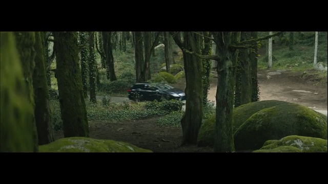 Video Reference: Woodland, Nature, Forest, Natural environment, World rally championship, Jungle, Rallying, Wilderness, Biome, Vehicle