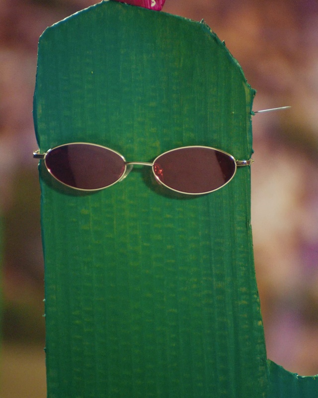 Video Reference: Terrestrial plant, Grass, Tints and shades, Close-up, Magenta, Eyewear, Pattern, Plant stem