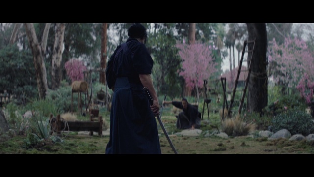 Video Reference: Nature, Natural environment, Movie, Woodland, Tree, Forest, Wilderness, Photography, Screenshot, Adaptation