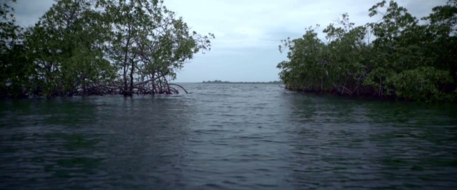 Video Reference: Body of water, Water resources, Water, River, Nature, Bank, Waterway, Natural environment, Lake, Shore