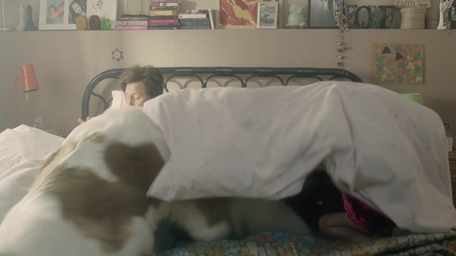 Video Reference: mammal, vertebrate, dog, bed, furniture, room, dog like mammal, carnivoran, product, snout, Person