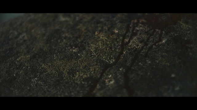 Video Reference: Black, Nature, Green, Brown, Water, Darkness, Atmosphere, Organism, Photography, Geology, Person