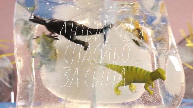 Video Reference: Organism, Wildlife, Tail