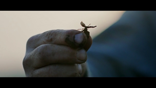 Video Reference: Finger, Hand, Organism, Deer, Stock photography, Photography, Insect, Wildlife, Thumb