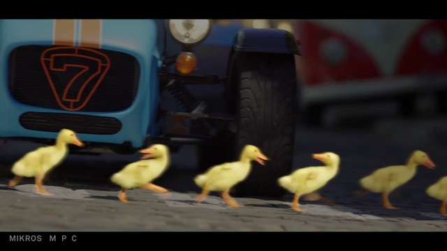 Video Reference: Bird, Beak, Seabird, Water bird, Flock, Duck, Adaptation, Livestock, Wildlife, Photo caption