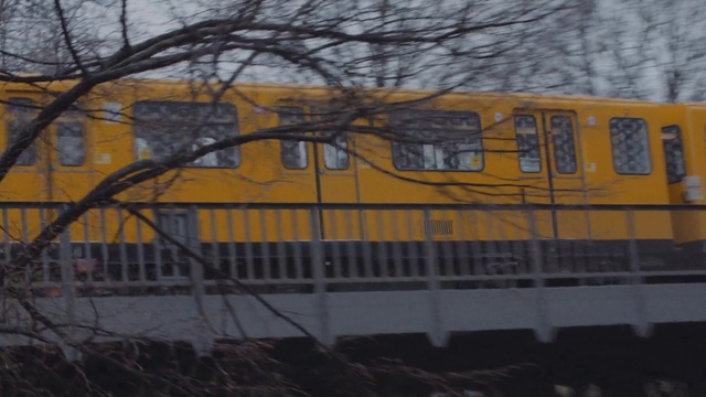 Video Reference: Transport, Mode of transport, Vehicle, Train, Rolling stock, Yellow, Railroad car, Track, Tree, Railway