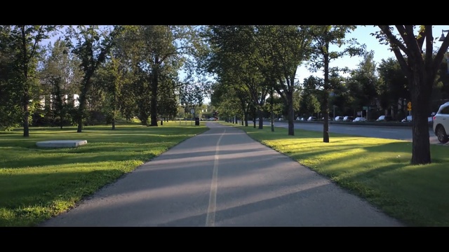 Video Reference: nature, tree, grass, public space, sky, infrastructure, plant, path, asphalt, lane