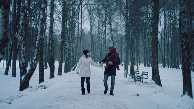 Video Reference: winter, snow, photograph, tree, freezing, woody plant, footwear, path, forest, photography, Person