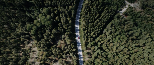 Video Reference: Aerial photography, Forest, Photography, Residential area, Landscape, Suburb, Plant, Rainforest, Bird-eye view, Map