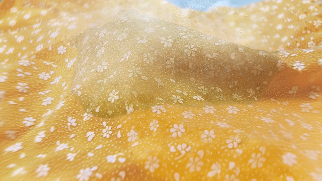 Video Reference: Yellow, Close-up, Food, Dish, Cuisine