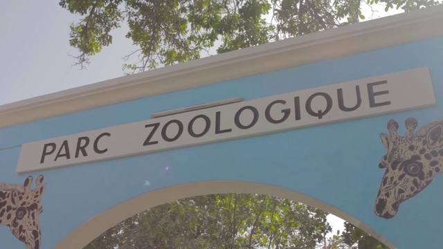 Video Reference: Signage, Tree, Font, Sign, Plant, Banner