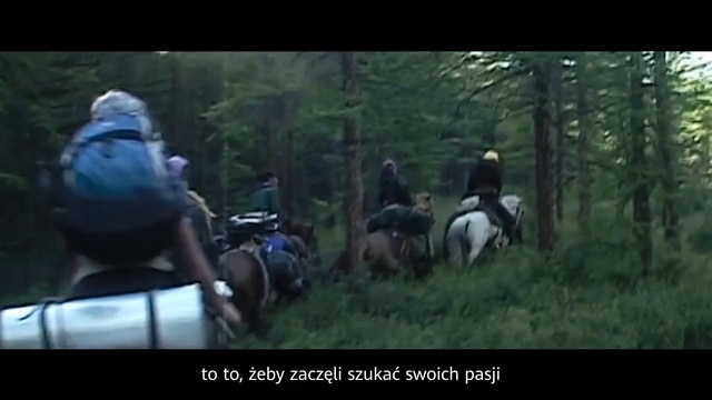 Video Reference: Horse, Trail riding, Outdoor recreation, Equestrian sport, Recreation, Forest, Animal sports, Stallion, Horse harness, Woodland