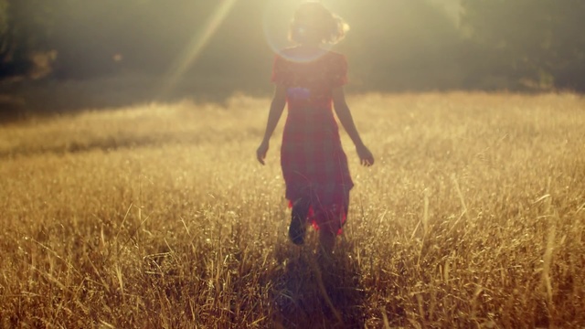 Video Reference: People in nature, Atmospheric phenomenon, Sunlight, Grass, Light, Sky, Morning, Grass family, Field, Backlighting