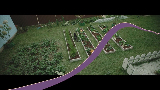 Video Reference: Urban design, Roller coaster, Grass, Tree, Land lot, Scale model, Landscape, Plant, Park, Nonbuilding structure