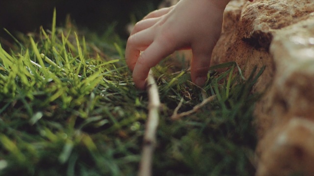 Video Reference: People in nature, Grass, Hand, Finger, Grass, Plant, Leaf, Soil, Adaptation, Fodder