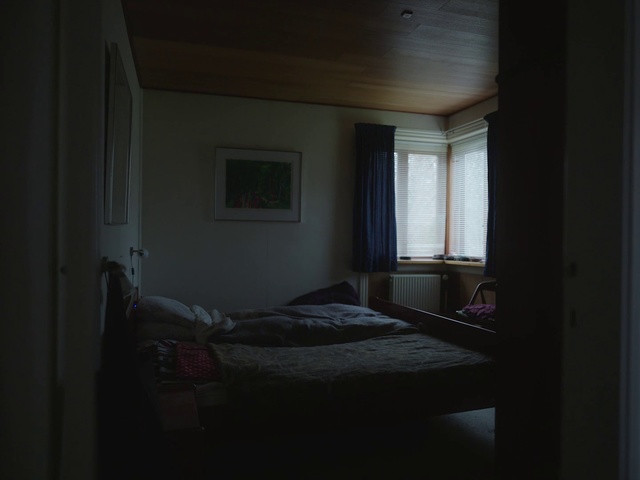 Video Reference: Bed, Room, Light, Window, Furniture, House, Bedroom, Daylighting, Bed sheet, Darkness