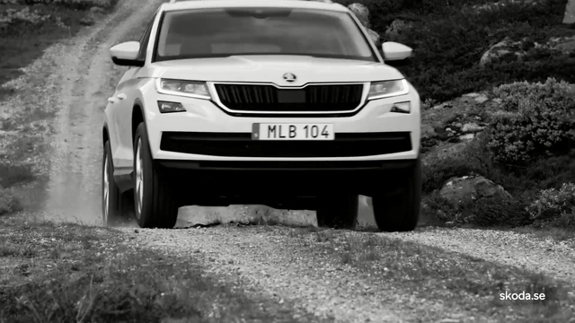Video Reference: Land vehicle, Vehicle, Car, Motor vehicle, Automotive design, Sport utility vehicle, Luxury vehicle, Crossover suv, Compact sport utility vehicle, Automotive exterior, Outdoor, Grass, Road, Parked, White, Small, Old, Truck, Sitting, Street, Black, Man, Driving, Dirt, Field, Riding, Traffic, Ground, Tire, Wheel, Auto part, Ford
