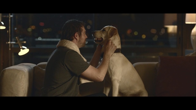 Video Reference: mammal, vertebrate, dog, snapshot, interaction, screenshot, human, girl, dog like mammal, fun