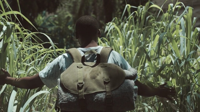 Video Reference: mammal, grass, plant, grass family, jungle, tree, agriculture, human behavior, wildlife, crop, Person